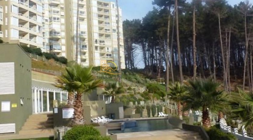 Canelillo6